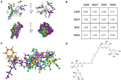 Is Crocin a Potential Anti-tumor Candidate Targeting Microtubules? Computational Insights From Molecular Docking and Dynamics Simulations